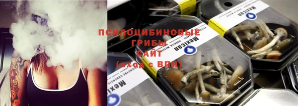 бошки Новодвинск