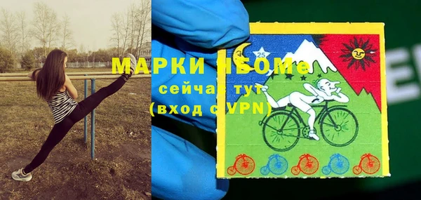 прущие грибы Новокубанск