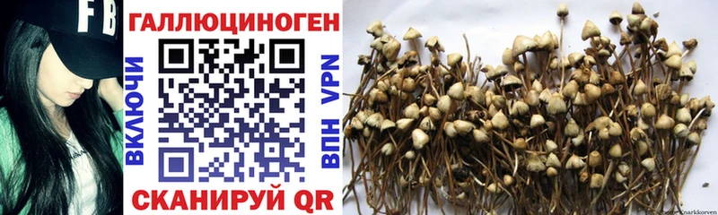 Галлюциногенные грибы MAGIC MUSHROOMS  Долгопрудный 